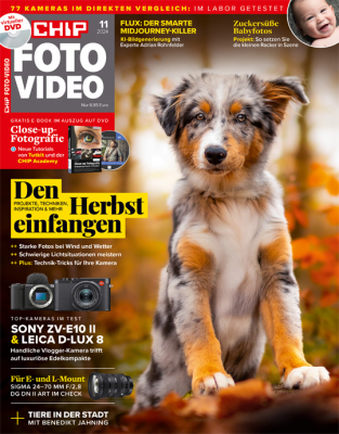 CHIP FOTO-VIDEO mit DVD