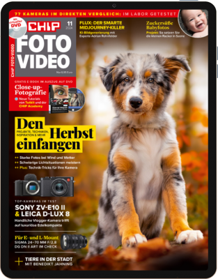 CHIP FOTO-VIDEO E-Paper 