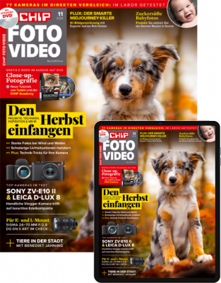 CHIP FOTO-VIDEO mit DVD Kombi 